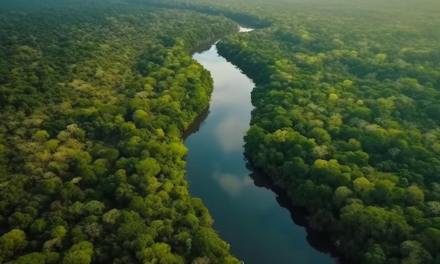 Você não precisa entender muito de energia elétrica para preservar a Amazônia